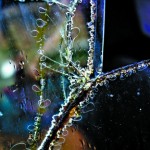360-BRIGHTCracked-truck-window_Kay-Brown