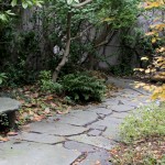 MG_8686web