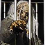 thehauntarticleweb