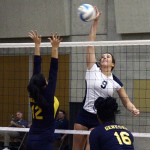 volleyball-web