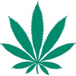 Pot leaf ILLUS.jpg
