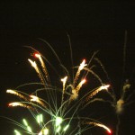 IMG_2295