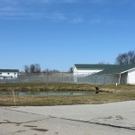 DogShelter
