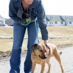 DogandTrainer