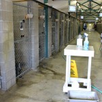 InsideShelter