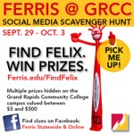 Collegiate_Ferris_250x250