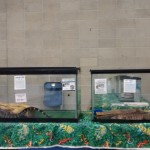IMG_20160420_111521593