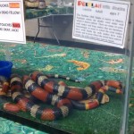 IMG_20160420_111534104