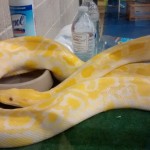 IMG_20160420_112008339