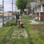 CommunityGarden3