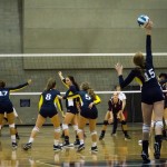 volleyball2
