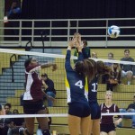 volleyball3