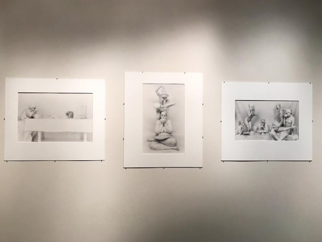 art-prize-8-collins-gallery-8