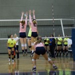 pink-vball-13
