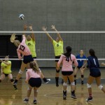 pink-vball-6