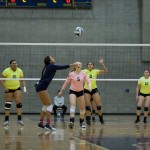 pink-vball-8