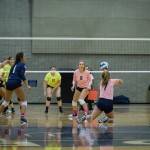 pink-vball-9