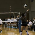 171012IMG_1698HD