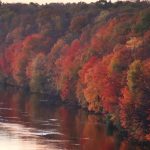 US_NEWS_MINN-AUTUMN_1_MS