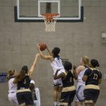 IMG_9843HD