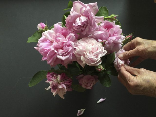 ATHOME-FLOWER-PHOTOGRAPHER-2-SA