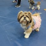 IMG_9373HD