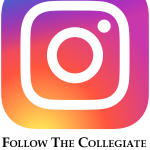 follow instagram