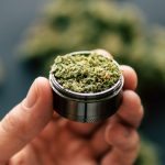 The state of cannabis in the US