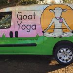 Goatmobile