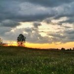 Hilltop Views Farm