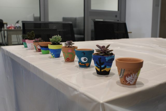 assortedpots