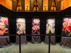 ArtPrize contestant reveals her artwork came to her in a dream