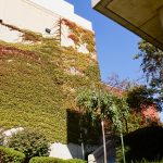 IMG_5402