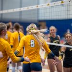 VBFINAL-15