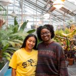 Greenhouse