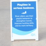 otter sign