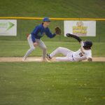 baseball11