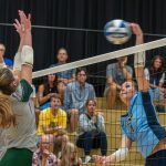 CCVB08-26-4