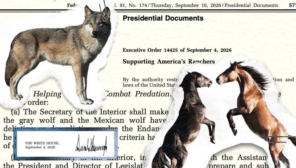 Wild Horses and Wolves Protections are Reversed