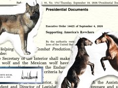 Wild Horses and Wolves Protections are Reversed