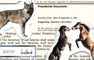 Wild Horses and Wolves Protections are Reversed